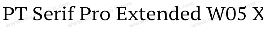 PT Serif Pro Extended W05 XBdIt字体转换